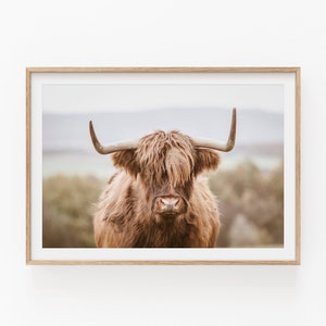 Highland Cow Print, Nature Photography, High Quality Wall Decor, Highland Cow Home Decor, Farmhouse Inspired Decor, Rustic Wall Art Print