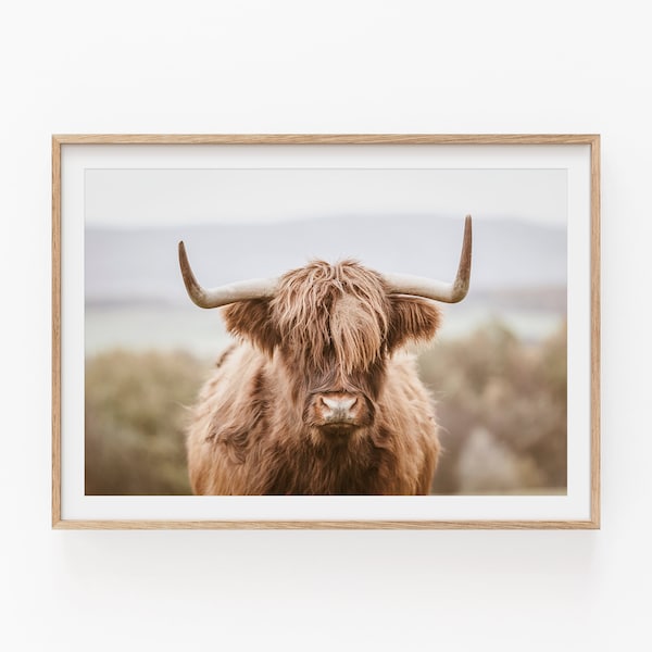 Highland Cow Print, Nature Photography, High Quality Wall Decor, Highland Cow Home Decor, Farmhouse Inspired Decor, Rustic Wall Art Print