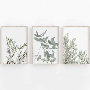 Botanical Art Print Set of 3, Botanical Wall Art, Farm House Print, Plant Art Print, Home Decor Print, Plant Photo Print, Gallery Wall Set