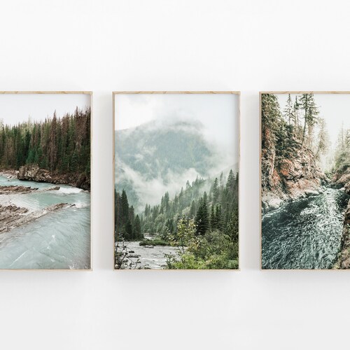 Nature Print Set of 3 River Forest National Park Modern Etsy