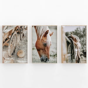 Nature Print Set of 3, Farmhouse Photography, Horse Poster, Printable Art, Neutral Gallery Wall Art, Rustic Western Gallery Wall Set