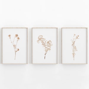 Botanical Art Print Set of 3, Botanical Wall Art, Farm House Print, Plant Art Print, Home Decor Plant Print, Plant Photo, Botanical Wall Art