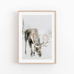 Winter Deer Print, Snowy Trees, Winter Wonderland Print, Christmas Wall Art, Snow Covered Pine Trees Printable Art, Large Wall Art Print