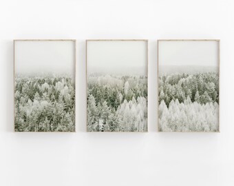 Pine Trees Naturfotografie Print: Minimalistische Galeriewand (Digitaler Download)