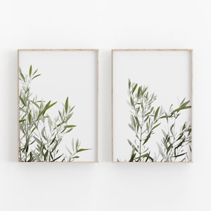 Botanical Print Set of 2, Instant Art, Botanical Wall Art, Modern Minimalist Poster, Printable Wall Decor, Olive Leaves Wall Art, Olive Tree