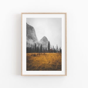 Rustic Mountain Forest Print , Instant Art, Home Decor Print, Living Room Decor Art, Fog Tree Art Print, Forest Wall Art Print, Nature Print