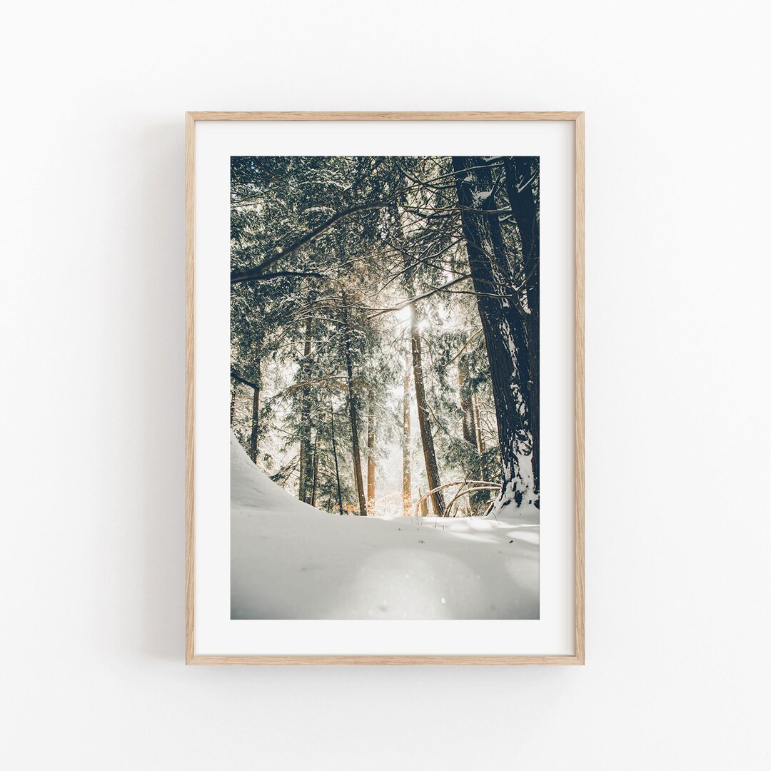 Snowy Pine Trees Winter Wonderland Print (digital Download) - Etsy