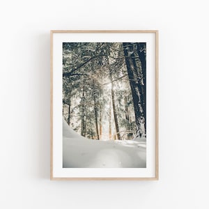 Winter Print, Snowy Trees, Winter Wonderland Print, Christmas Wall Art, Snow Covered Pine Trees Printable Art, Large Wall Art Print