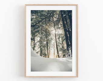 Snowy Pine Trees Winter Wonderland Print (Digital Download)