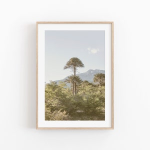 Nature Art Print, Instant Art, Patagonia Wall Art, Modern Minimalist Poster, Printable Wall Decor, Argentina Wall Art, Buenos Aires Print