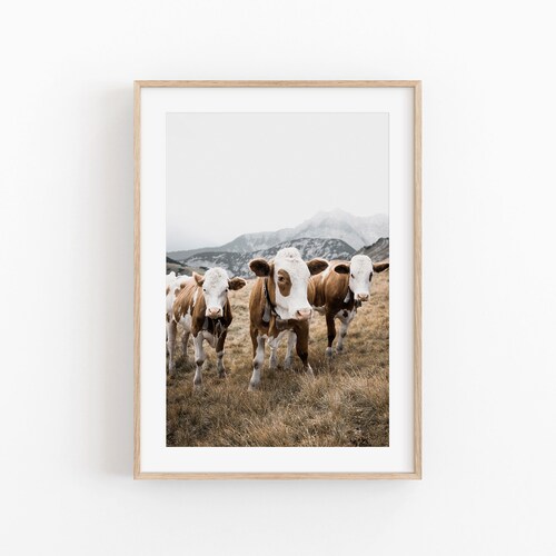 Cow Art Print Instant Art Cow Wall Art Print Modern Etsy