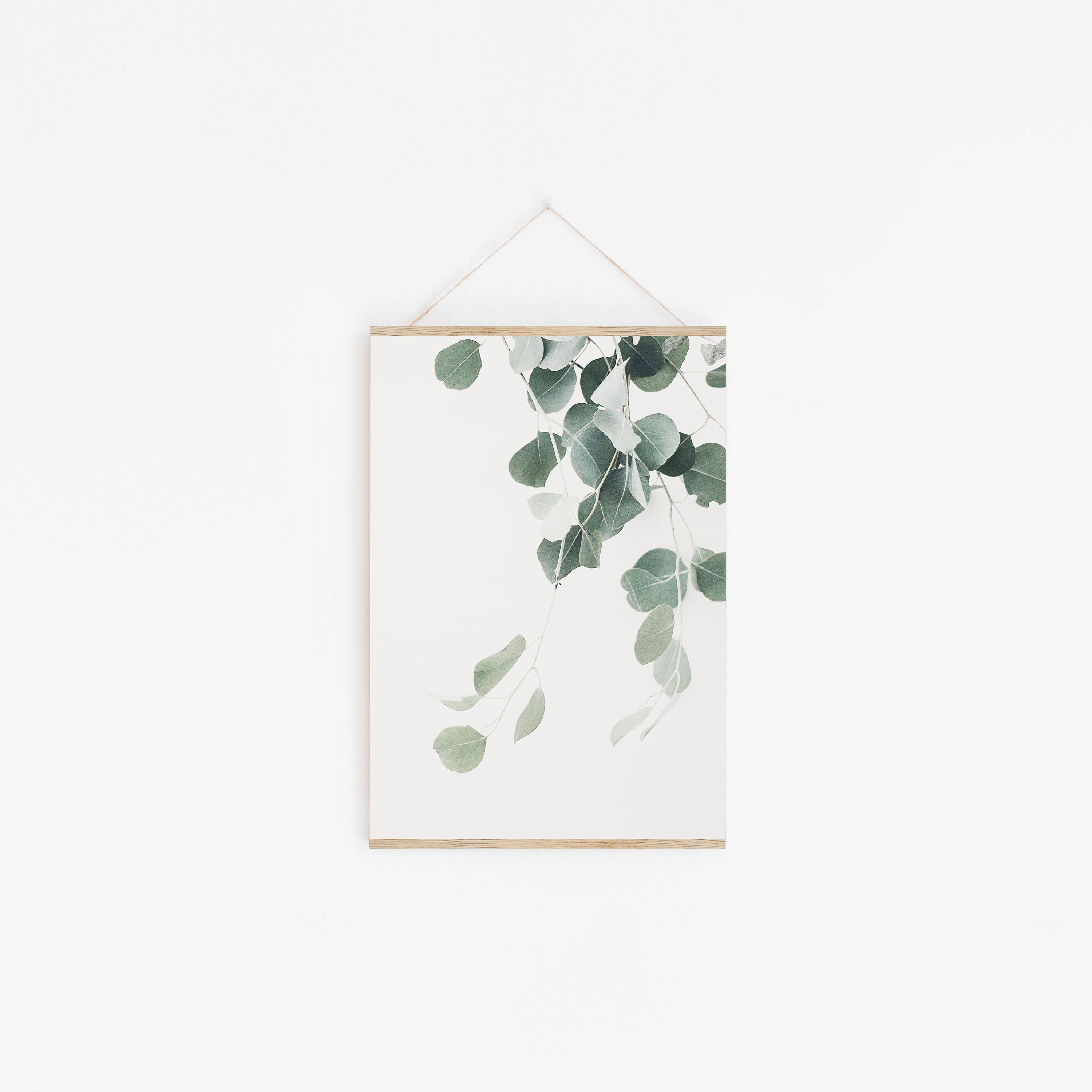 Eucalyptus Art Print Botanical Print Instant Art Floral Art Etsy