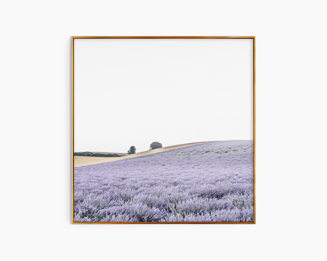 Nature Landscape Print, Lavender Art Print, Botanical Art Print, Modern ...