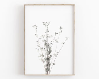 Buckwheat Botanical Print: Modern Farmhouse Wall Decor (Digital Download)