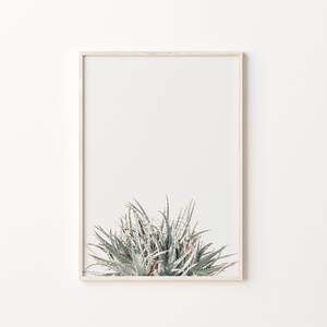 Aloe Print, Instant Art, Aloe Vera, Modern Minimalist Poster, Printable ...
