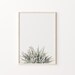 Aloe Print, Instant Art, Aloe Vera, Modern Minimalist Poster, Printable ...
