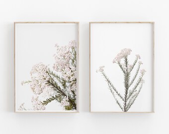 Botanical Art Print Set: Desert Flower Photography (Digital Download)