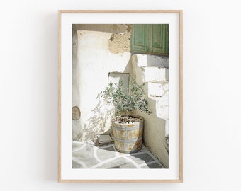 May include: A potted olive tree sits on a white stone patio in front of a whitewashed building with a green door. The tree is in a wooden barrel planter and the patio is shaded by the building.