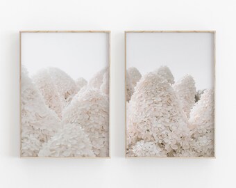 Hydrangea Art Print Set: Modern White Flower Poster (Digital Download)