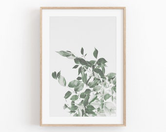 Eucalyptus Botanical Art Print: Minimalist Plant Poster (Digital Download)