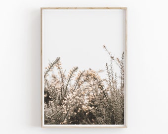 Botanical Flowers Photography Print: Minimalist Wall Art (Digital Download)