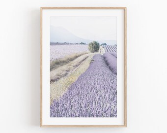 Provence Lavender Field Photography Print: France Landscape (Digital Download)