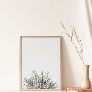 Aloe Print, Instant Art, Aloe Vera, Modern Minimalist Poster, Printable ...