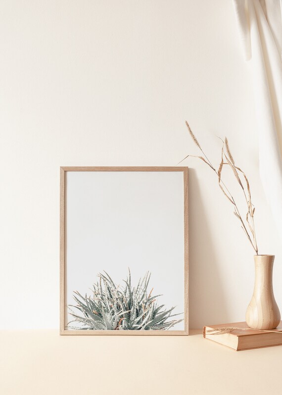 Aloe Vera Print: Moderne minimalistische Wandkunst (Digitaler Download) -  Etsy sterreich