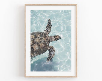 Sea Turtle Art Print: Modern Minimalist Wall Decor (Digital Download)