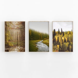 Herbstwald Print Set: Rustikaler Fluss, Pinie Baum Fotografie (digitaler Download)
