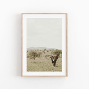 Südafrika Druck, Natur Wandkunst, Fotografie Druck, Afrika Ansicht Kunstdruck, Foto Poster, Südafrika Zimmer Dekor, Boho Poster, Tier