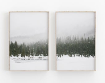 May include: Two framed prints of a snowy winter scene with a forest and a lake in the background. The prints are in a light wood frame.