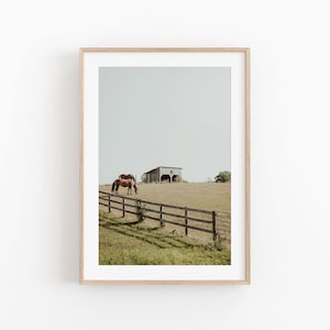 Natur Druck, Instant Art, Kanada Poster, Modernes minimalistisches Poster, druckbare Wanddekoration, Wald Kunstdruck, Home Decor Print, Pferd Poster