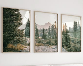 May include: Three framed landscape photographs of a forest scene with a mountain range in the background. The photos are in a light wood frame and are hung on a white wall.