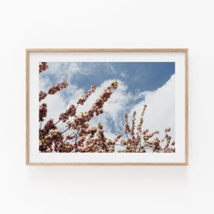 Nature Flowers, Horizontal Art Print, Botanical Print, Botanical Home Decor Print, Modern Minimalist Print, Printable Wall Decor, Floral Art