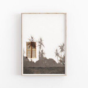 Structube Palm Shadows Framed Artwork