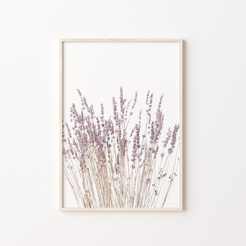 Lavender Flowers Print, Instant Art, INSTANT DOWNLOAD, Modern Minimalist Poster, Printable Wall Decor, Botanical Prints, Floral Wall Art image 4