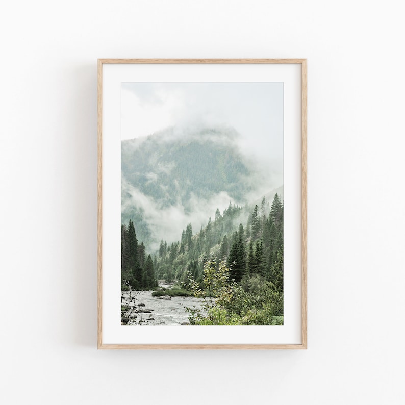 Nature Print Set of 3 River Forest National Park Modern Etsy