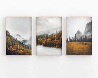 Forest Photography Print Set: Rustic Green Landscape (Digital Download)