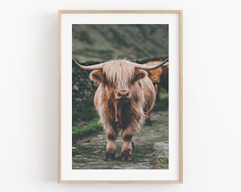 Highland Cow Art Print: Modern Minimalist Animal Poster (Digital Download)
