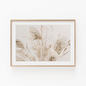Pampas Art Print, Botanical Art Print, Modern Minimalist Poster, Printable Wall Decor, Botanical Garden, Wild Grass Art Print, Pampas