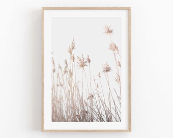 Pampas Gras Druck, Instant Art, SOFORTIGER DOWNLOAD, Modernes Minimalistisches Poster, druckbare Wanddekoration, Fotografie, Wildgras Druck, Wandkunst