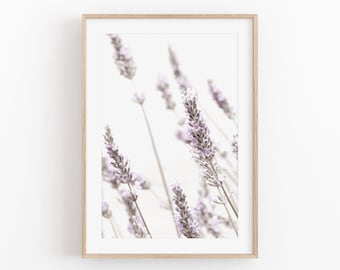 May include: A framed print of a close-up of lavender flowers in shades of purple and white against a white background.