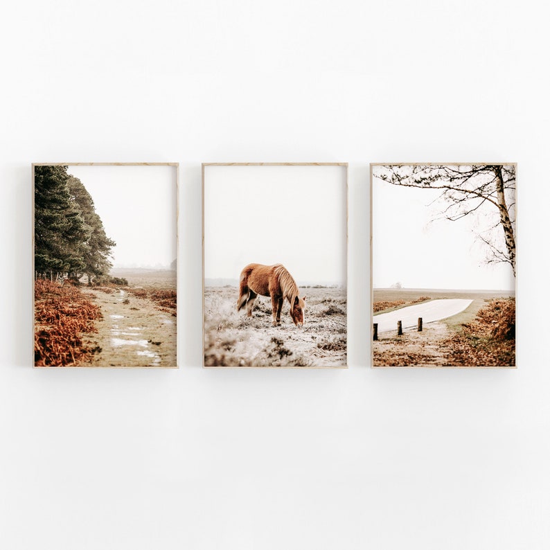 Nature Print Set of 3 Instant Art Farmhouse Art Print Etsy