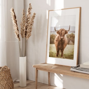 K&ouml;nnte beinhalten: Ein gerahmter Druck einer braunen Highland-Kuh, die auf einem Feld steht. Der Druck ist in einem hellen Holzrahmen und h&auml;ngt an einer wei&szlig;en Wand. Im Vordergrund steht eine Vase mit getrocknetem Pampasgras.