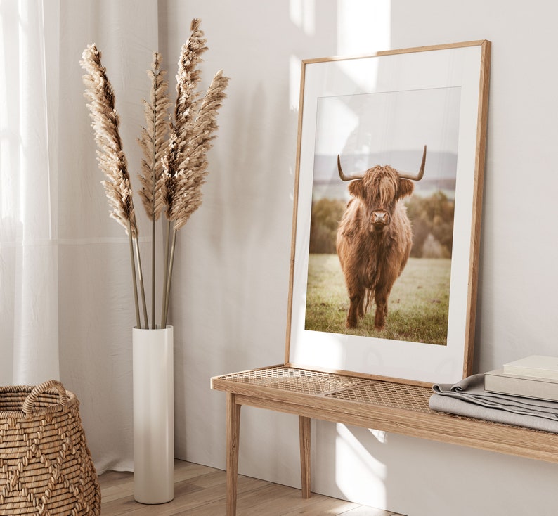 K&ouml;nnte beinhalten: Ein gerahmter Druck einer braunen Highland-Kuh, die auf einem Feld steht. Der Druck ist in einem hellen Holzrahmen und h&auml;ngt an einer wei&szlig;en Wand. Im Vordergrund steht eine Vase mit getrocknetem Pampasgras.