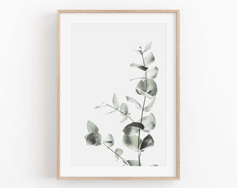 Eucalyptus Botanical Art Print: Minimalist Plant Poster (Digital Download)