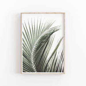 Palm Leaves Print, Tropical Wall Art, Tropical Leaf Decor, Botanical Artwork, Minimalist Botanical, Plant Art Printable, Shadow Palm Leave