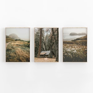 Forest Print Set of 3, Nature Photography, Printable Art, Mountain Forest Wall Decor, Gallery Wall Set, Pine Trees, Rustic Wall Decor, Cabin