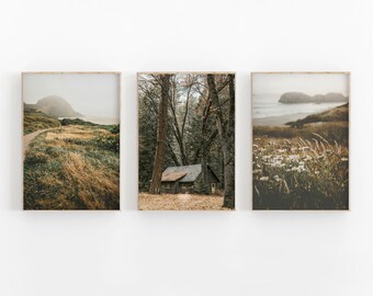 Forest Photography Print Set: Rustic Cabin, Pine Trees (Digital Download)